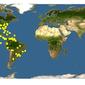 Discover Life: Point Map of Phyllanthus caroliniensis